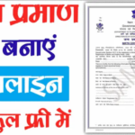 Birth Certificate Apply Online